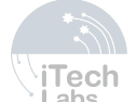 Visa partner logo